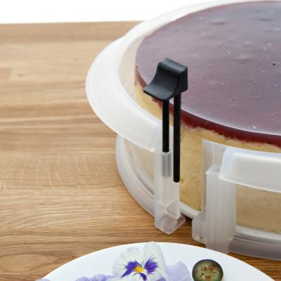 Pina recanvi motllo desmuntable silicona