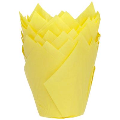 Papel cupcakes x36 Tulipa