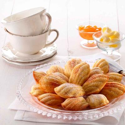 Motllo conxa x9 silicona Lekue