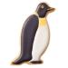 Set 50 talladors galetes Animals