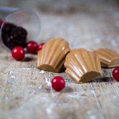 Motllo silicona Mini Madeleine 4,4x3,4x1 cm cav 15