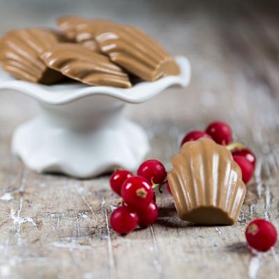 Motllo silicona Mini Madeleine 4,4x3,4x1 cm cav 15