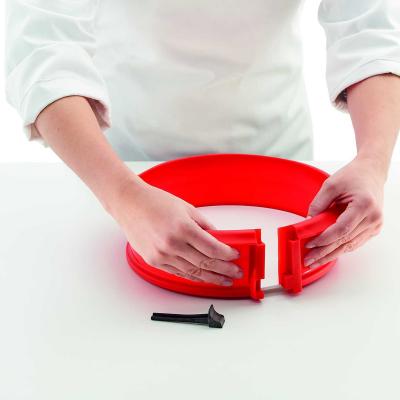 Pina recanvi motllo desmuntable silicona