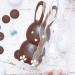 Motllo per xocolata 3D Conill