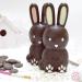 Motllo per xocolata 3D Conill