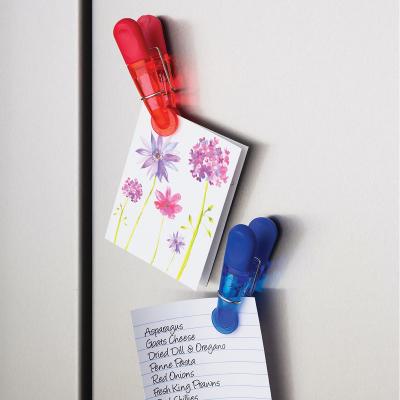 Set 7 pinces magn�tiques per tancar bosses