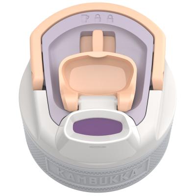 Ampolla d'aigua Elton Kambukka 750 ml Rainbow