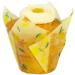 Paper muffins Tulipa x24 PME Llimones