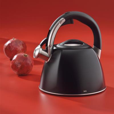 Bullidor d'aigua kettle Vitus inducci�