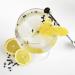 Copa Balon Gin Tonic 700 cc tritan