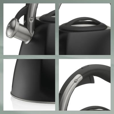 Bullidor d'aigua kettle Vitus inducci�