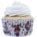 Paper cupcakes alumini HP x60 Harry Potter