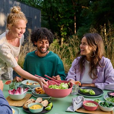 Plat fons Mepal Silueta