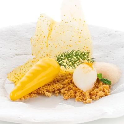 Motllo silicona Pastanaga x12 cav 20 ml