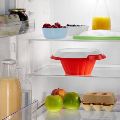 Motllo flam silicona amb plat 24 cm