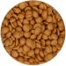 Xocolata daurada melts Funcakes 200 g