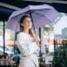 Paraigua plegable automtic anti-vent Fusta lilas