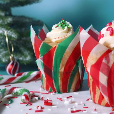 Paper muffins Tulipa x24 PME Caramel