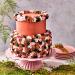 Set 5 fondants Funcakes 5x100 g Shimmering