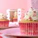 Paper cupcakes alumini x30 Vintage Rose