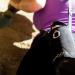 Funda neopr Ampolla Runbott