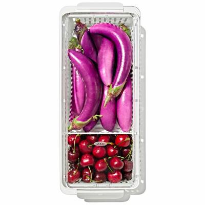 Contenidor nevera amb reixa Oxo