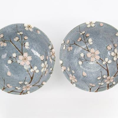 Set regal 2 bols Ramen Fujisakura Gray blue 21 cm