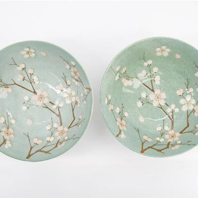 Set regal 2 bols Ramen Fujisakura Green 21 cm