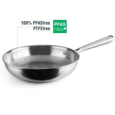 Paella Titani tricapa