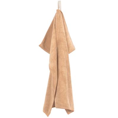 Set 2 draps de cuina microfibra 50x50 sable