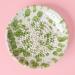 Plat ratllador Musgo petit 12,5 cm