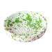 Plat ratllador Musgo mitj� 15 cm