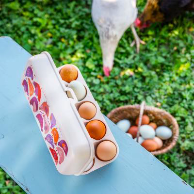 Ouera x10 Koziol Eggs to Go Creative Chicks