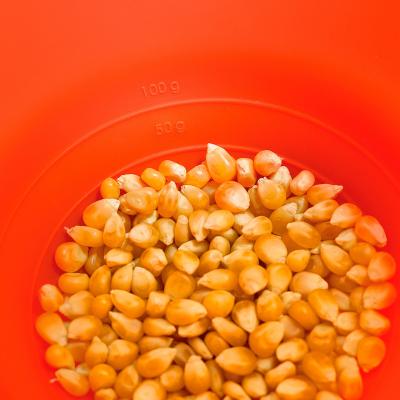 Pop Corn Palomitas L�ku� plegable