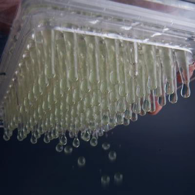 Caviar Box desmontable 96 esferas