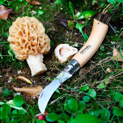 Navaja Opinel para setas con cepillo