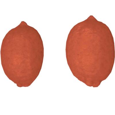 Molde Mona Pascua chocolate Lim�n