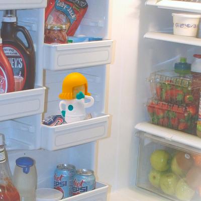 Elimina olores nevera Fresh Mama