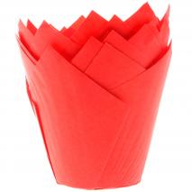 Papel cupcakes x36 Tulipa