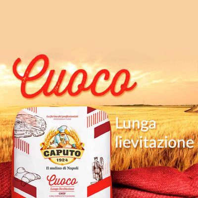 Harina Caputo 00 pizza larga fermentacin cuoco