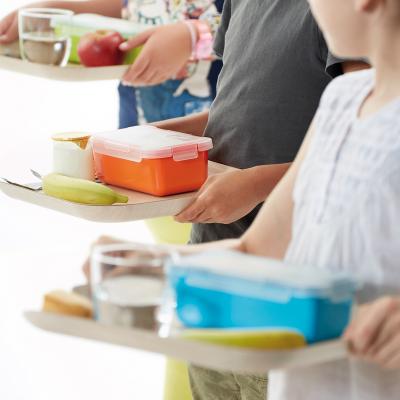 Tupper Valira Nomad 0,75 transparent