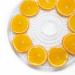 Deshidratadora de alimentos 5 bandejas