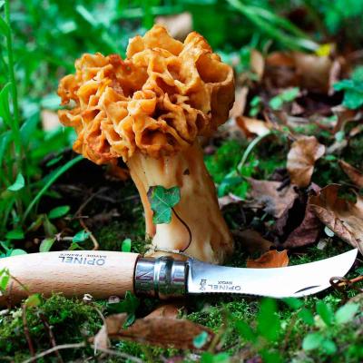 Navaja Opinel para setas con cepillo