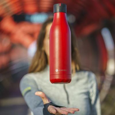 Botella t�rmica UP 500 ml