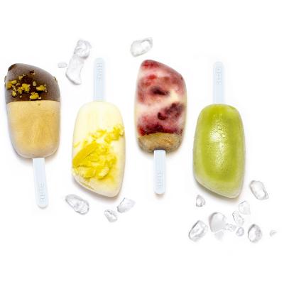 Molde 2 helados con 12 palos reutilizables