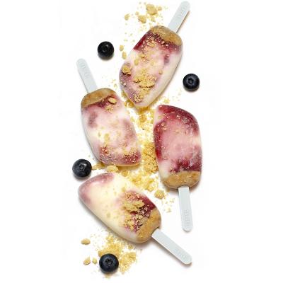 Molde 2 helados con 12 palos reutilizables