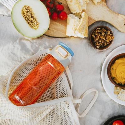 Botella de agua Elton Kambukka 750 ml Flamingo