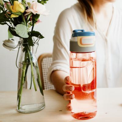 Botella de agua Elton Kambukka 750 ml Flamingo