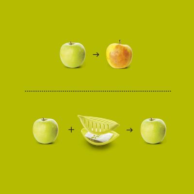 Set 4 recambios conservador BEfresh