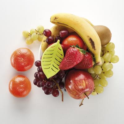 Set 4 recambios conservador BEfresh